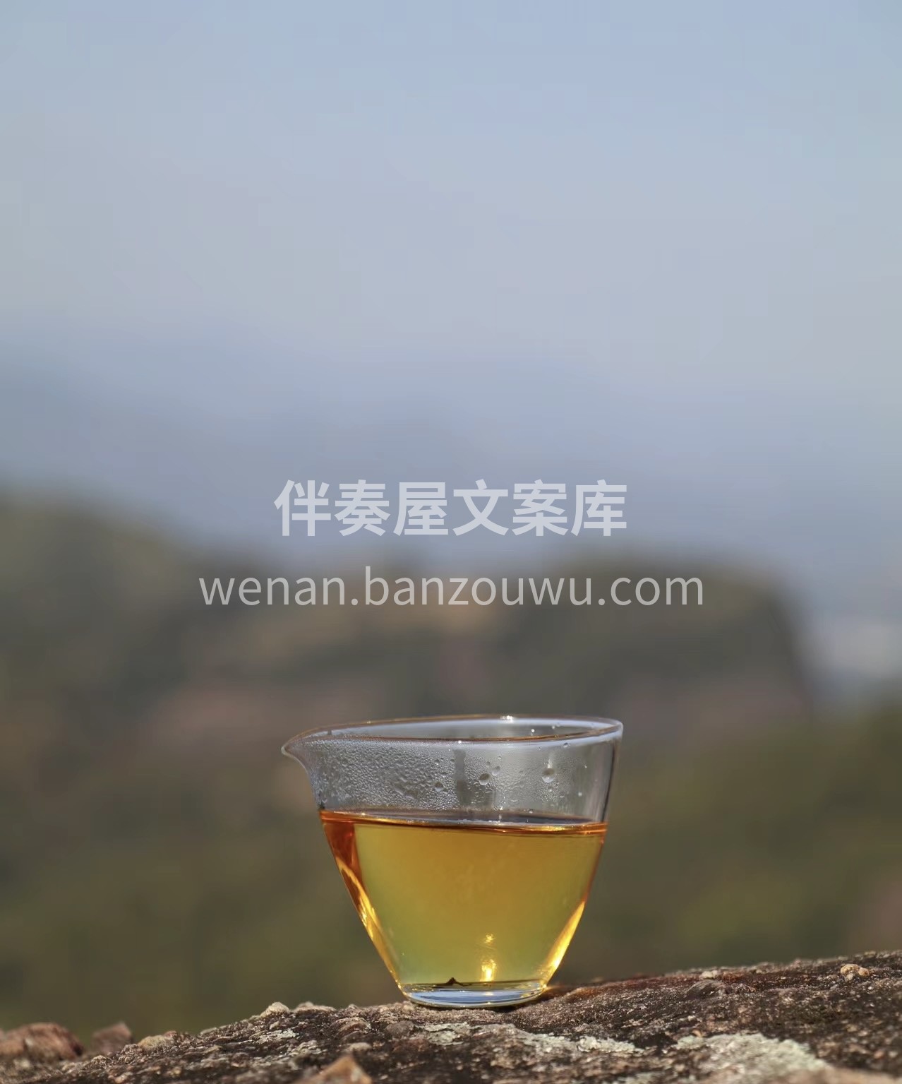 我的茶叶是个宝，提神醒脑效果好。滋味香醇 配图3