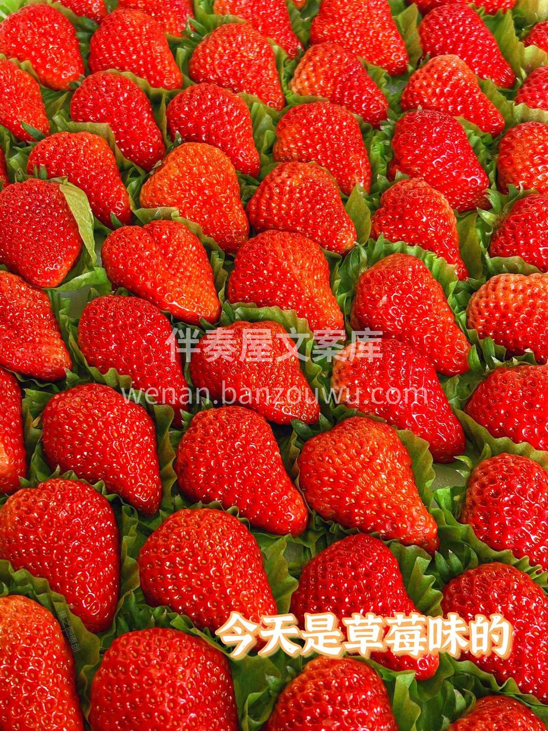 冬天的草莓🍓 莓心莓肺，莓烦恼，等你来品 配图1
