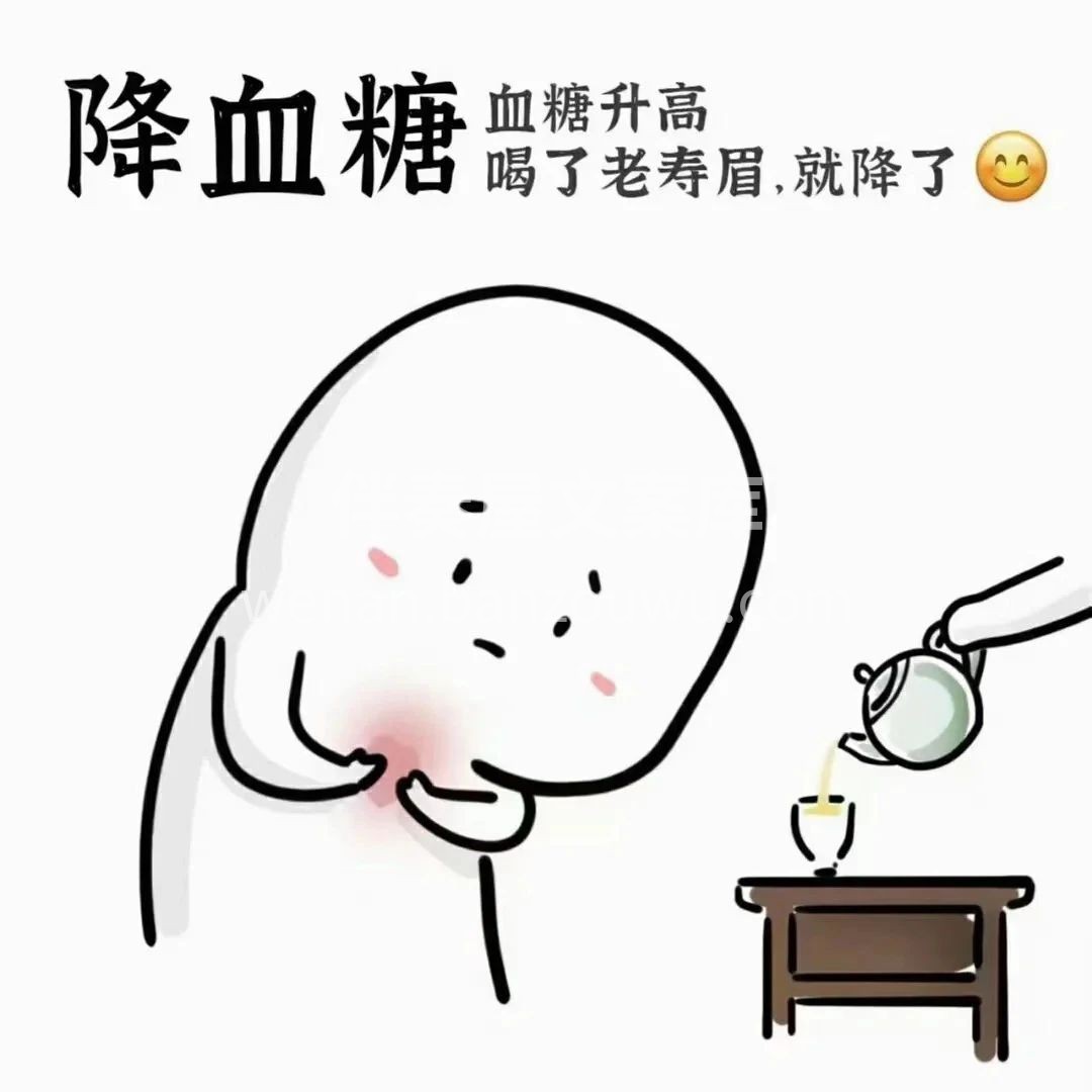 每一片白茶的叶脉，都承载着岁月的沉淀，诉
