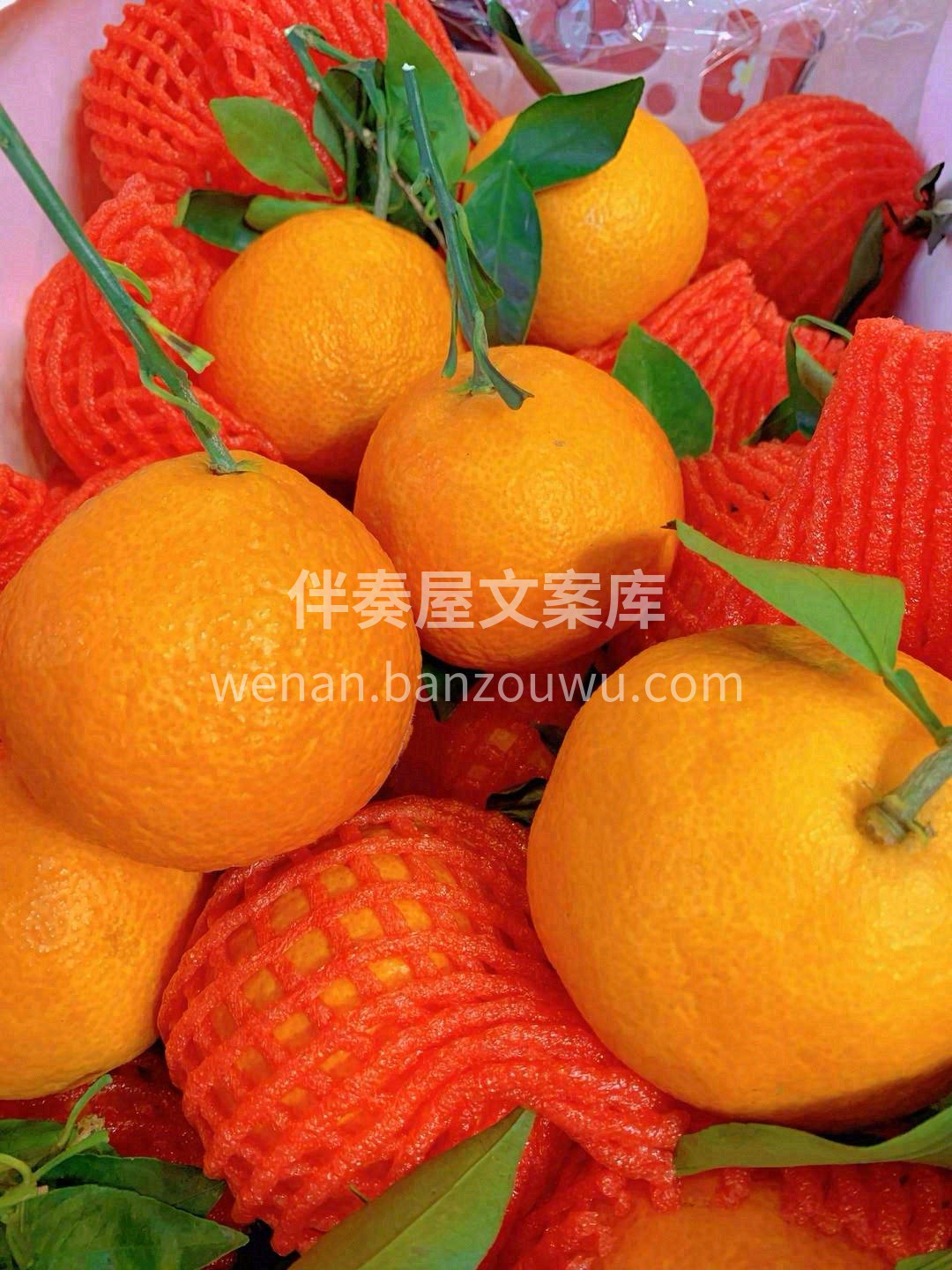 皮薄肉细💌 九甜一酸🌸 橙子届教科书般的 配图3