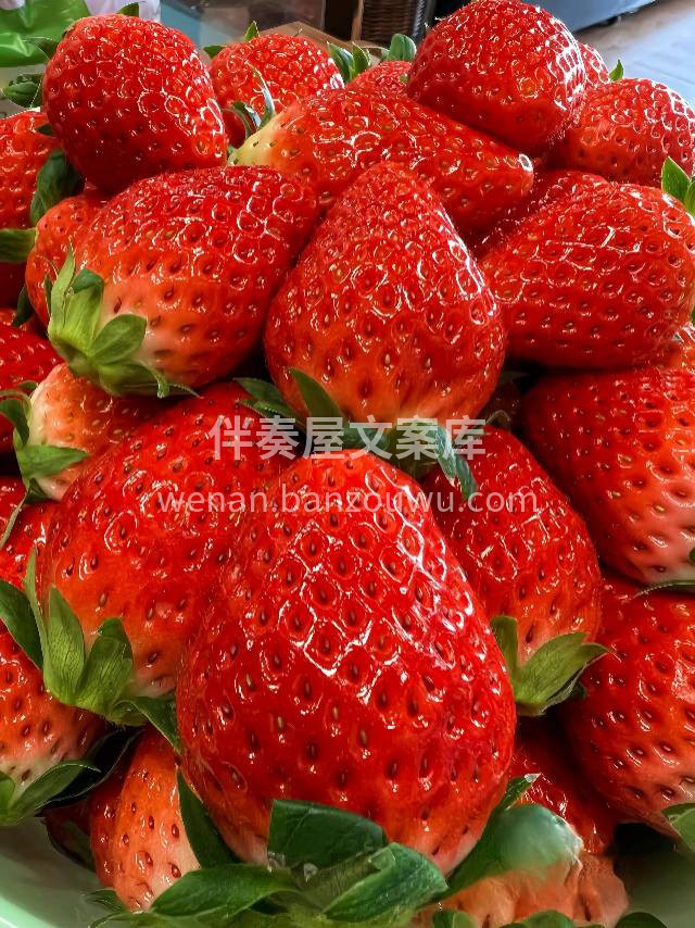 绿色食品认证♻️无公害种植，鲜甜多汁🌊  配图2