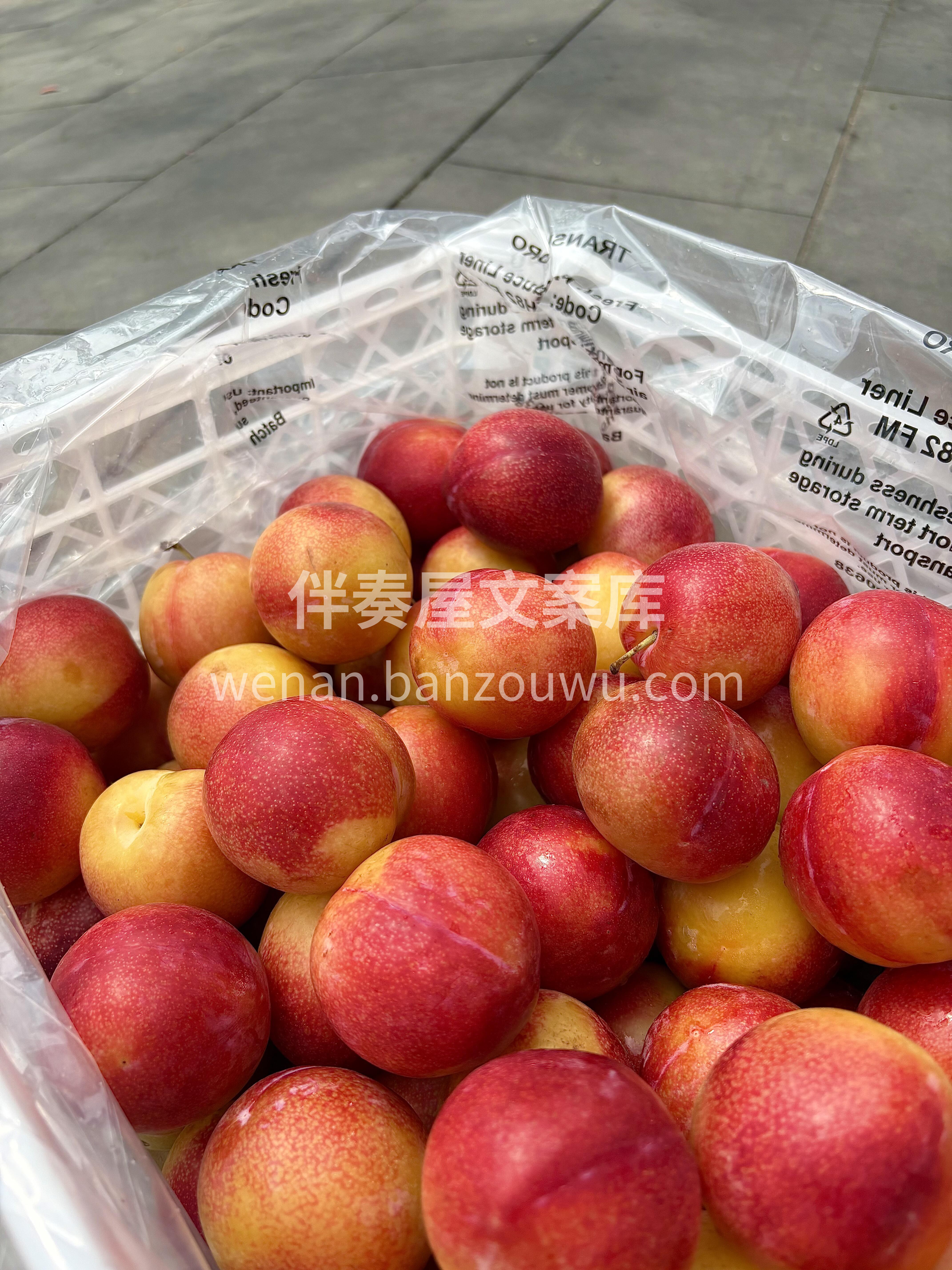 珠宝李❤️春日限定上新🆕 一口就能爱上  配图2