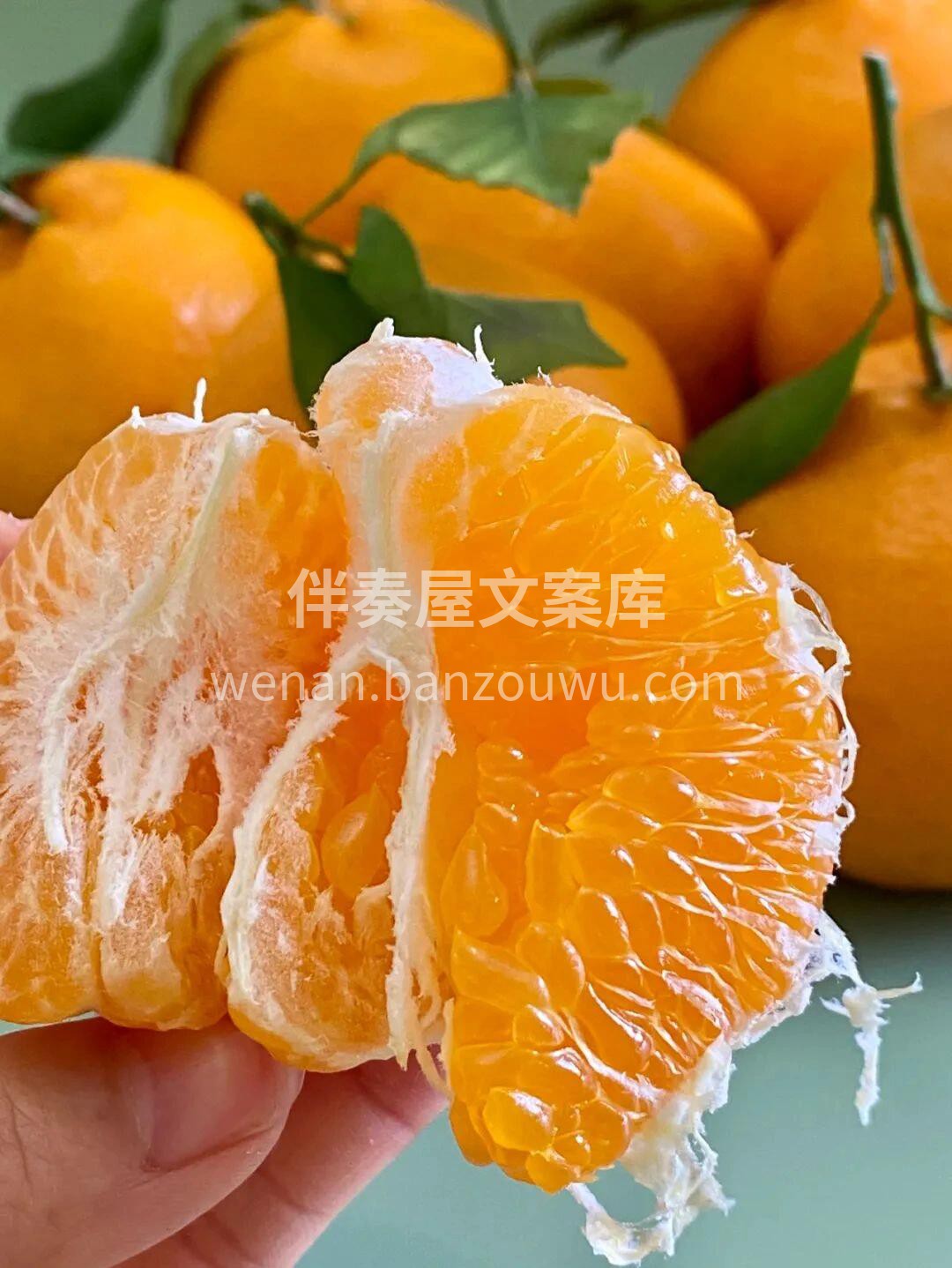 🍊春见耙耙柑 不管你的城市吹风下雪， 我 配图2
