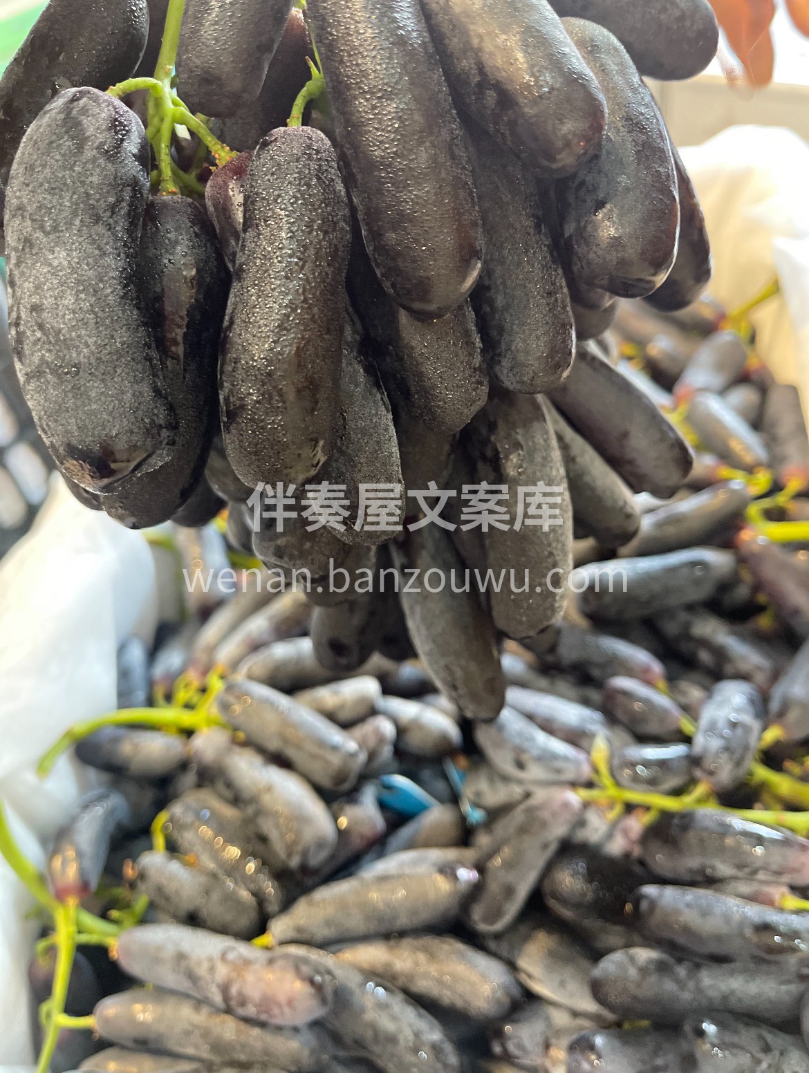 美人指黑提一口秋日光～～ ✨是果香 是脆 配图1