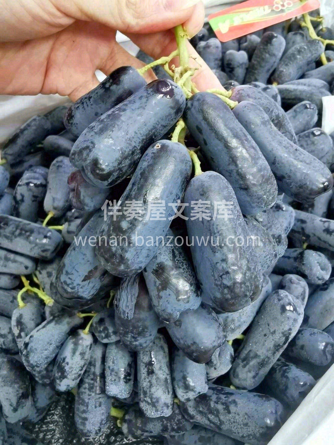 ?澳洲阳光充足?️，每年日晒时间超过30 配图3