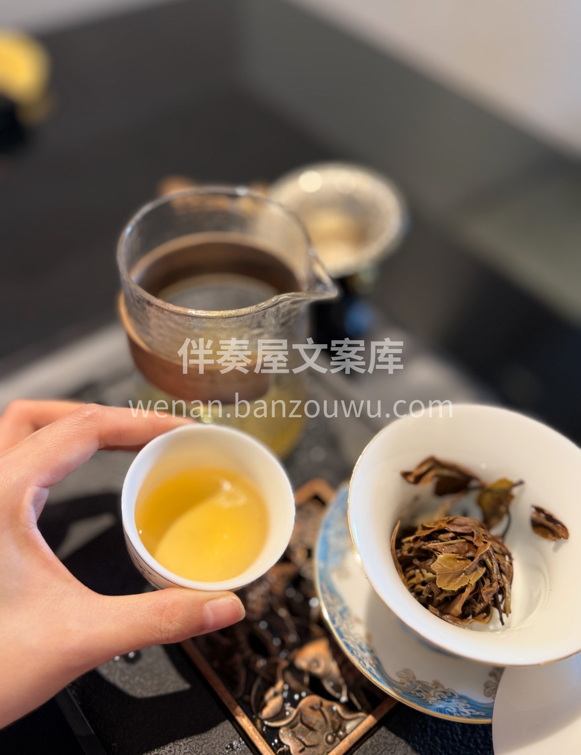🌿 月光美人，白茶中清雅尤物。月光下萎凋 配图3