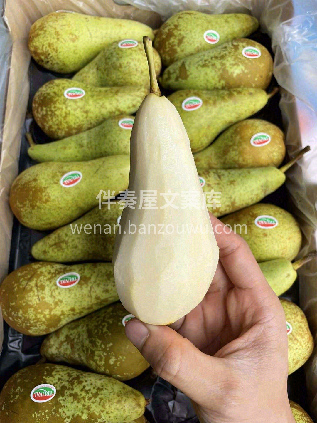 比利时啤梨🍐 香甜，柔软，多汁💦 颠覆您 配图2