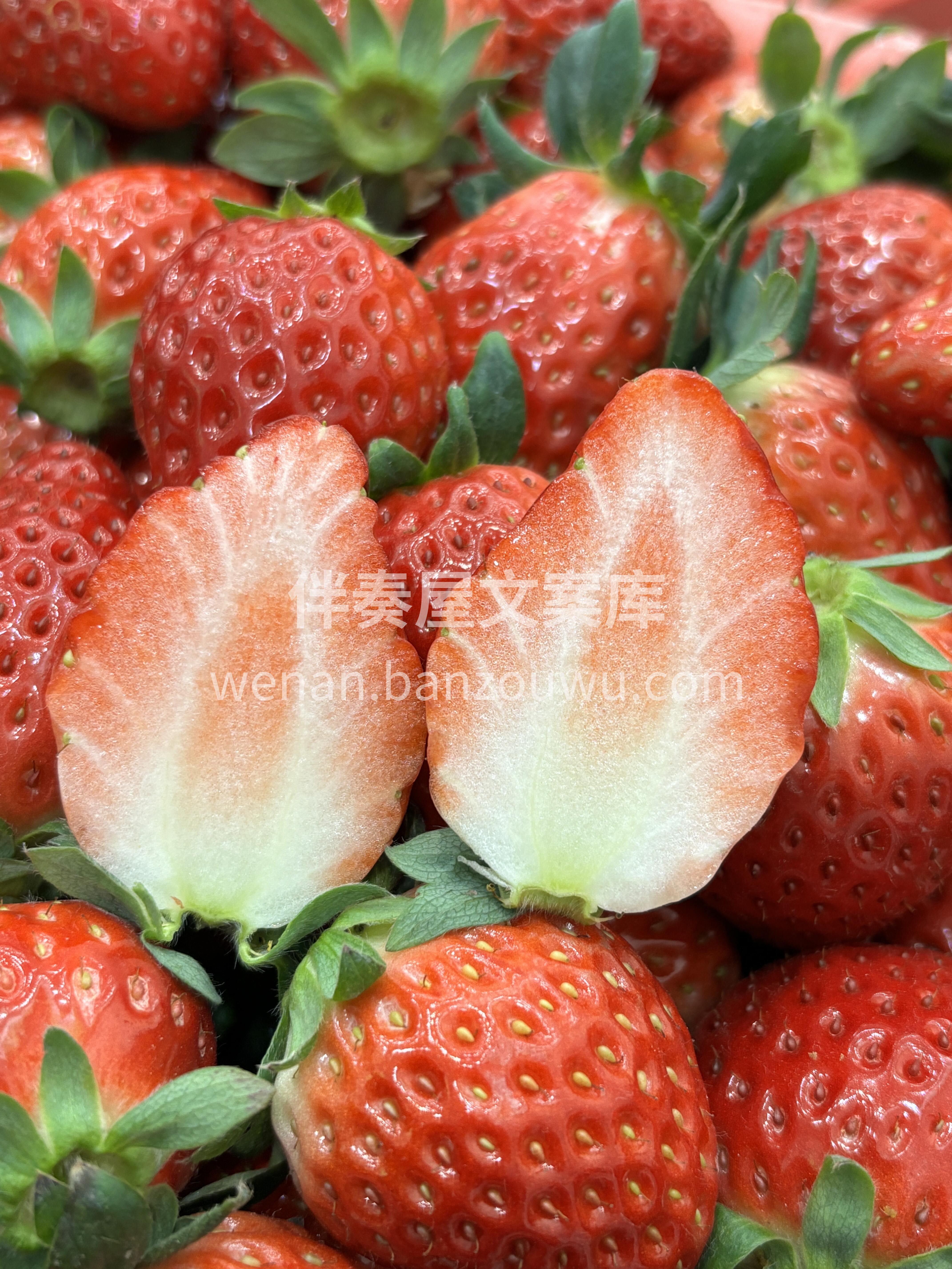 冬天的快乐🙂 丹东红颜草莓🍓 每日新鲜到 配图1