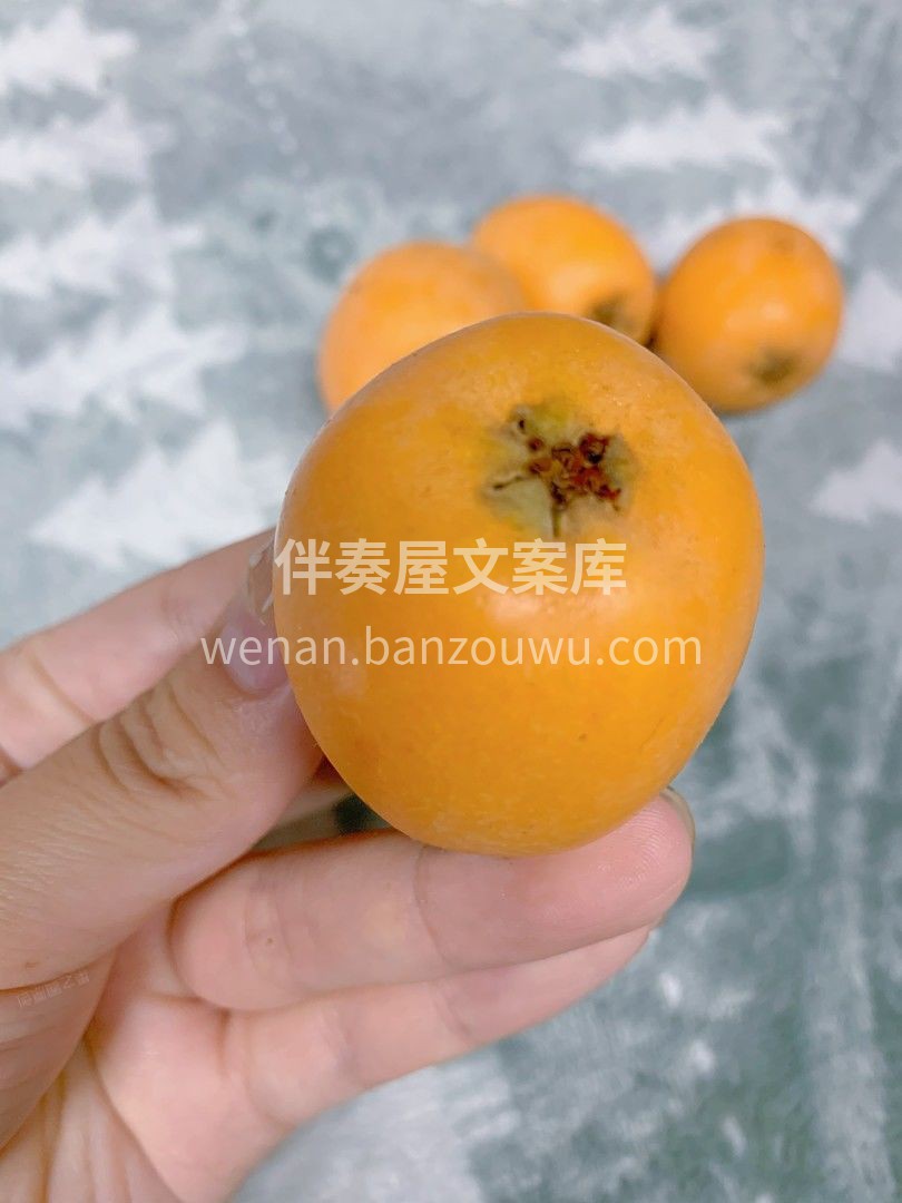 枇杷有它自己的“看家本领”👍 皮薄肉厚多 配图2