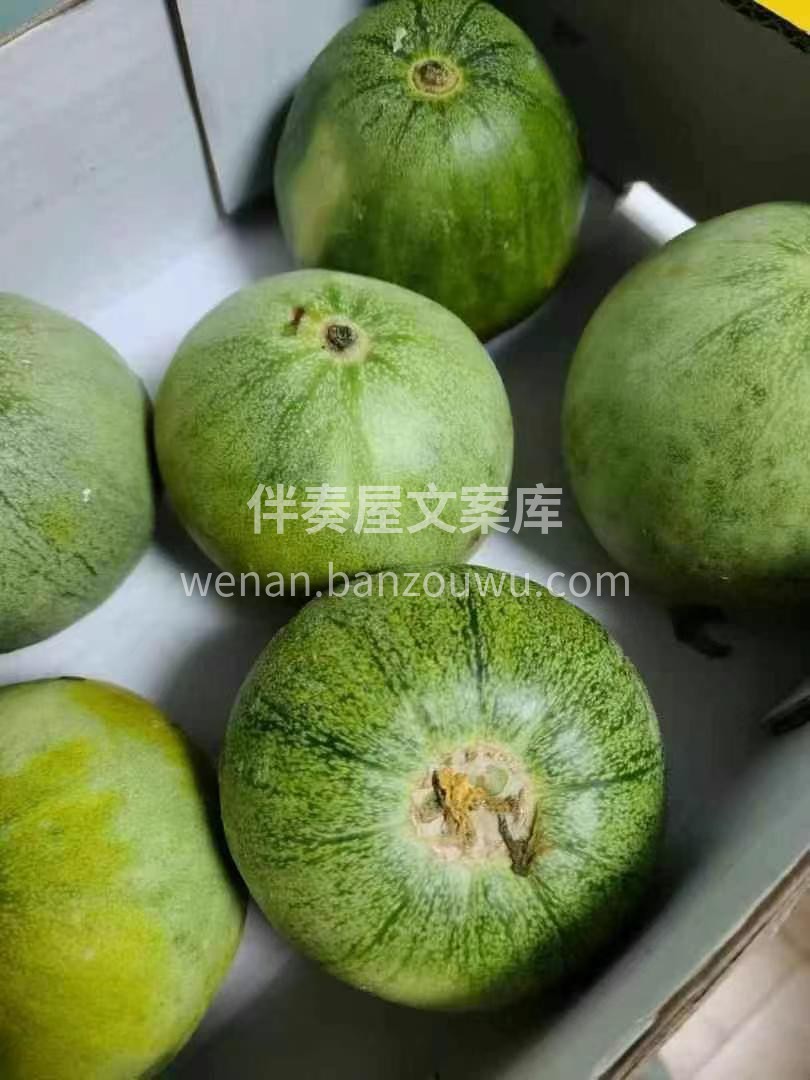 天气热到炸裂？来点绿宝甜瓜降火‼️ 翠绿 配图3