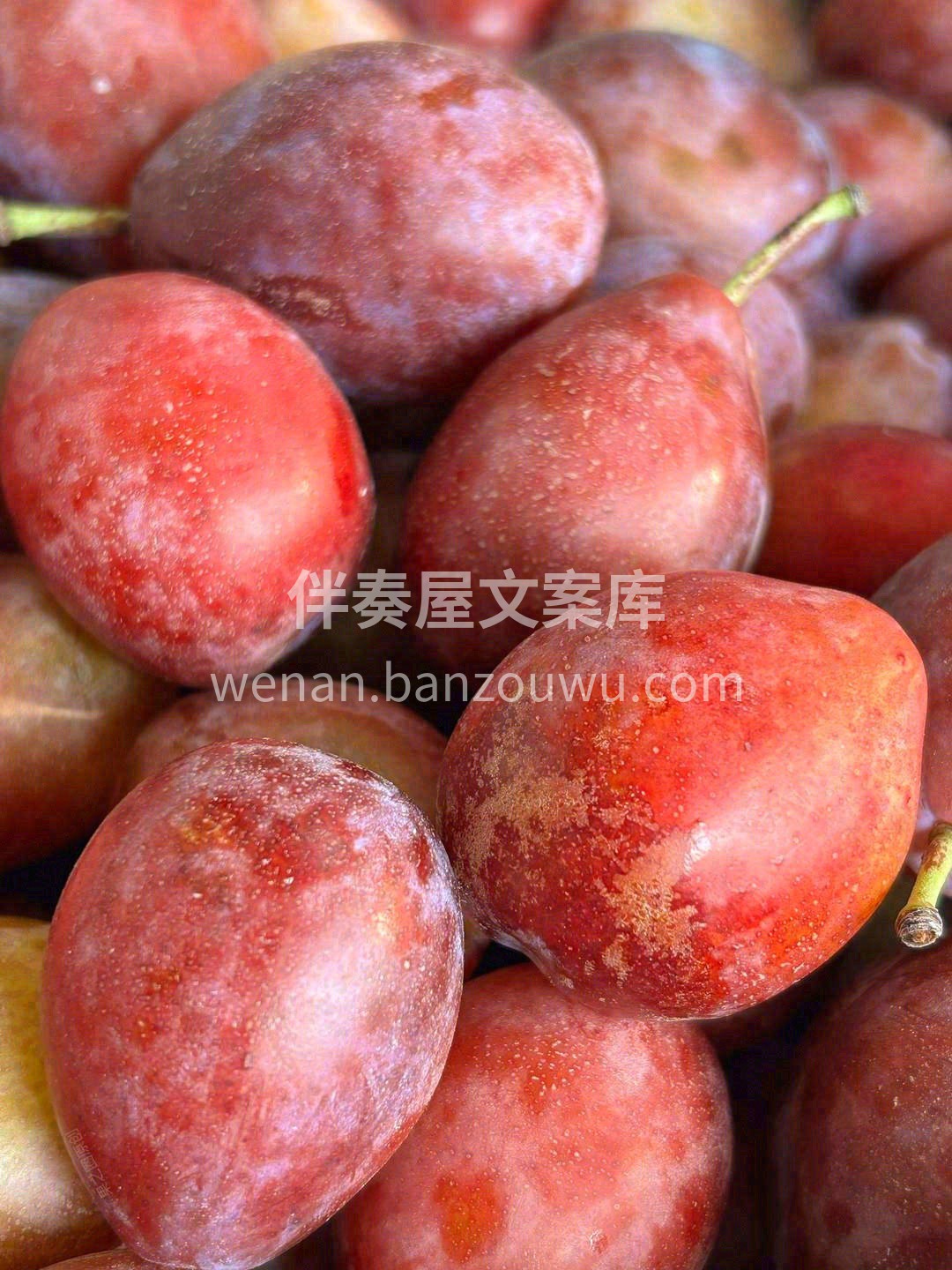 有没有三天两头上厕所不痛快的小可爱？ 🙋 配图3