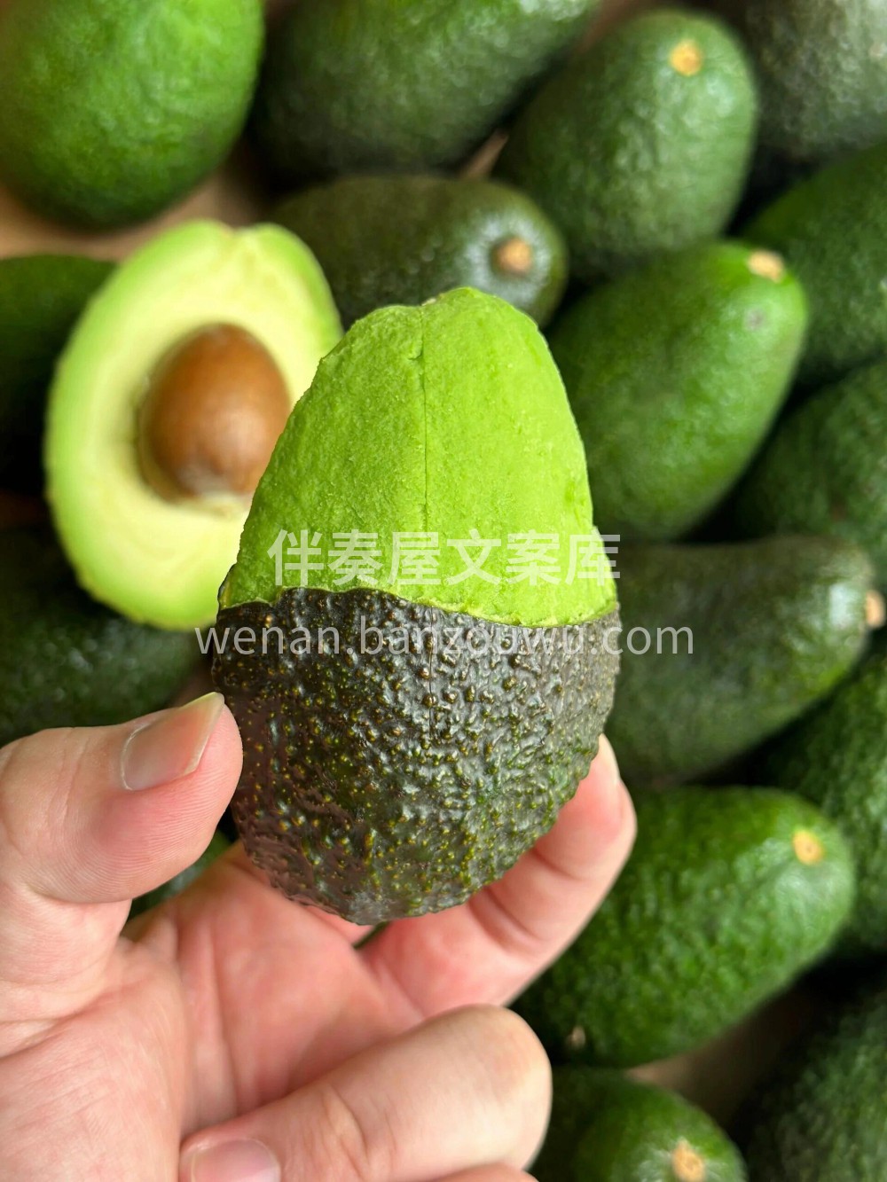 好漂亮的牛油果有“森林奶油”🥑之美誉，个 配图2