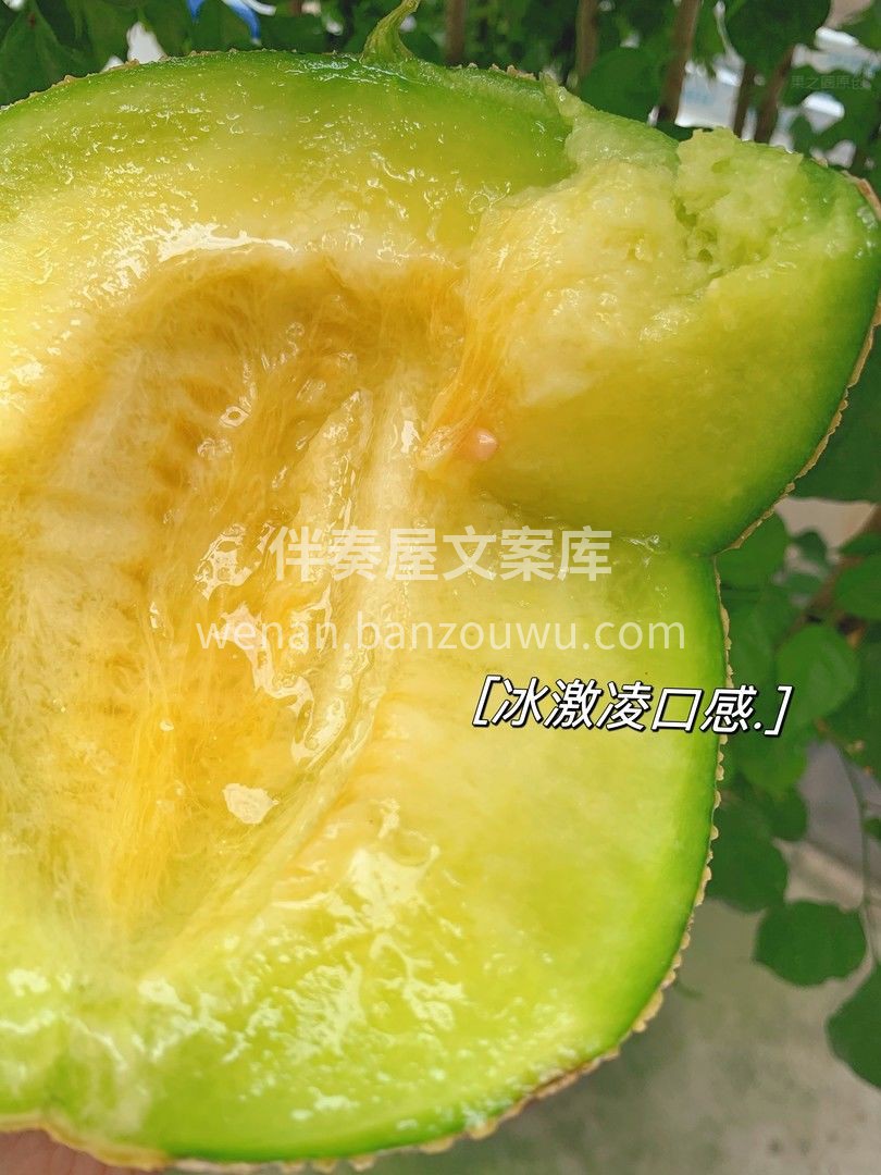 👉只要你吃过这颗网纹瓜，都会感叹于它的🍦 配图3