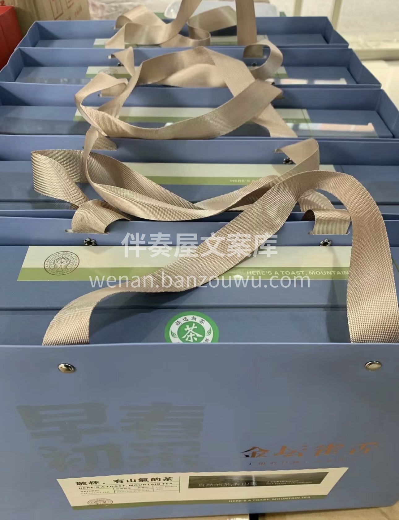 金坛雀舌独特的茶形和口感，让爱茶人爱不释 配图3