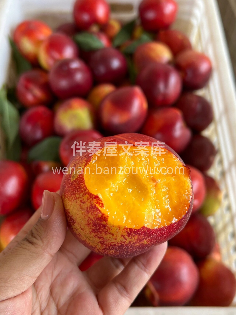 🍑 油桃每年爆款～ 桃味十足 💟更有美肤 配图3