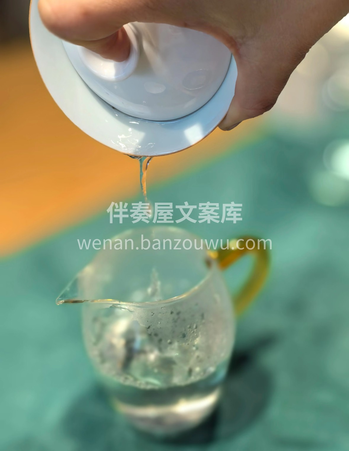 等了一整年的黄山毛峰终于到店！一芽一叶初 配图3