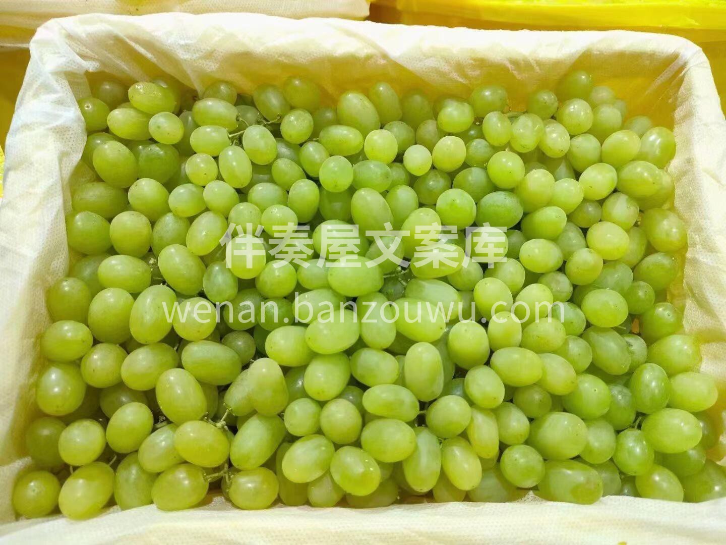 👏甜蜜正当时❗️❗️❗️ 新疆马奶提到货 配图1