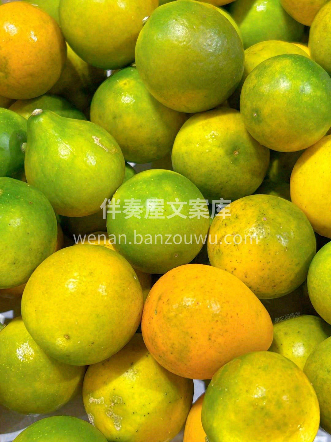 当季尝鲜【脆皮金柑】🍁🍁，表里如一的脆蜜 配图3