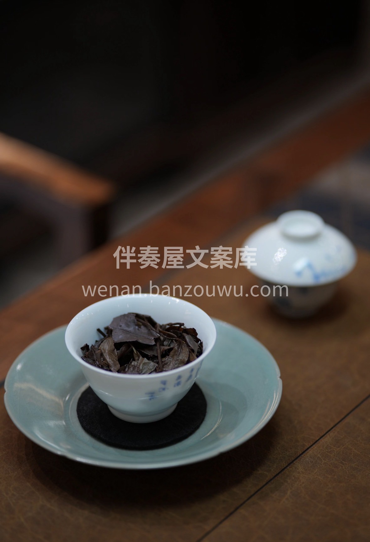春天的美好，是风轻云淡，手边有茶，寿眉温 配图2
