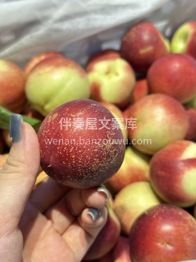 🔥【珍珠枣油桃·颜值担当】🔥 💖粉嫩欲滴 配图2