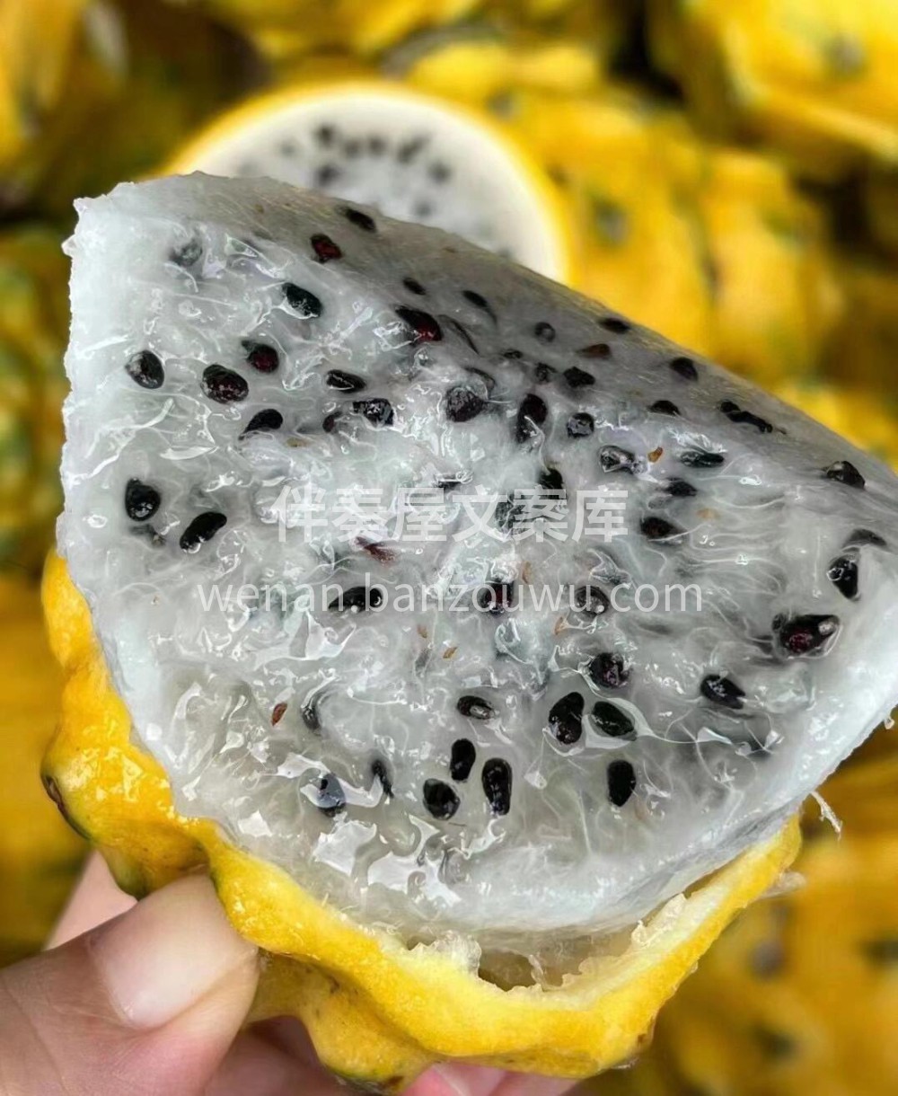 🌴🌴海南燕窝果💚又名“麒麟果”😋世界十大 配图2