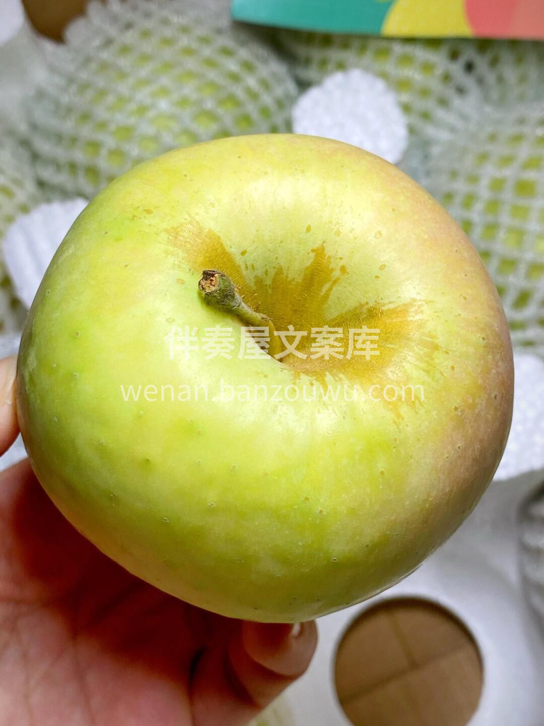 【苹果中的“甜妹”-青森水蜜桃苹果🍎】  配图3
