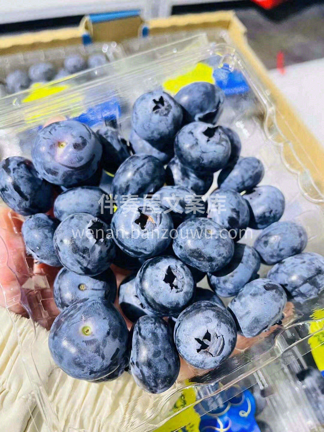 🌈一年最“莓”好时光到来！ 夏日里阳光下 配图3