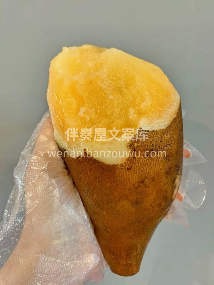 🍠雪莲果--唯一的地下水果‼️ 💥嘎嘣脆 配图3