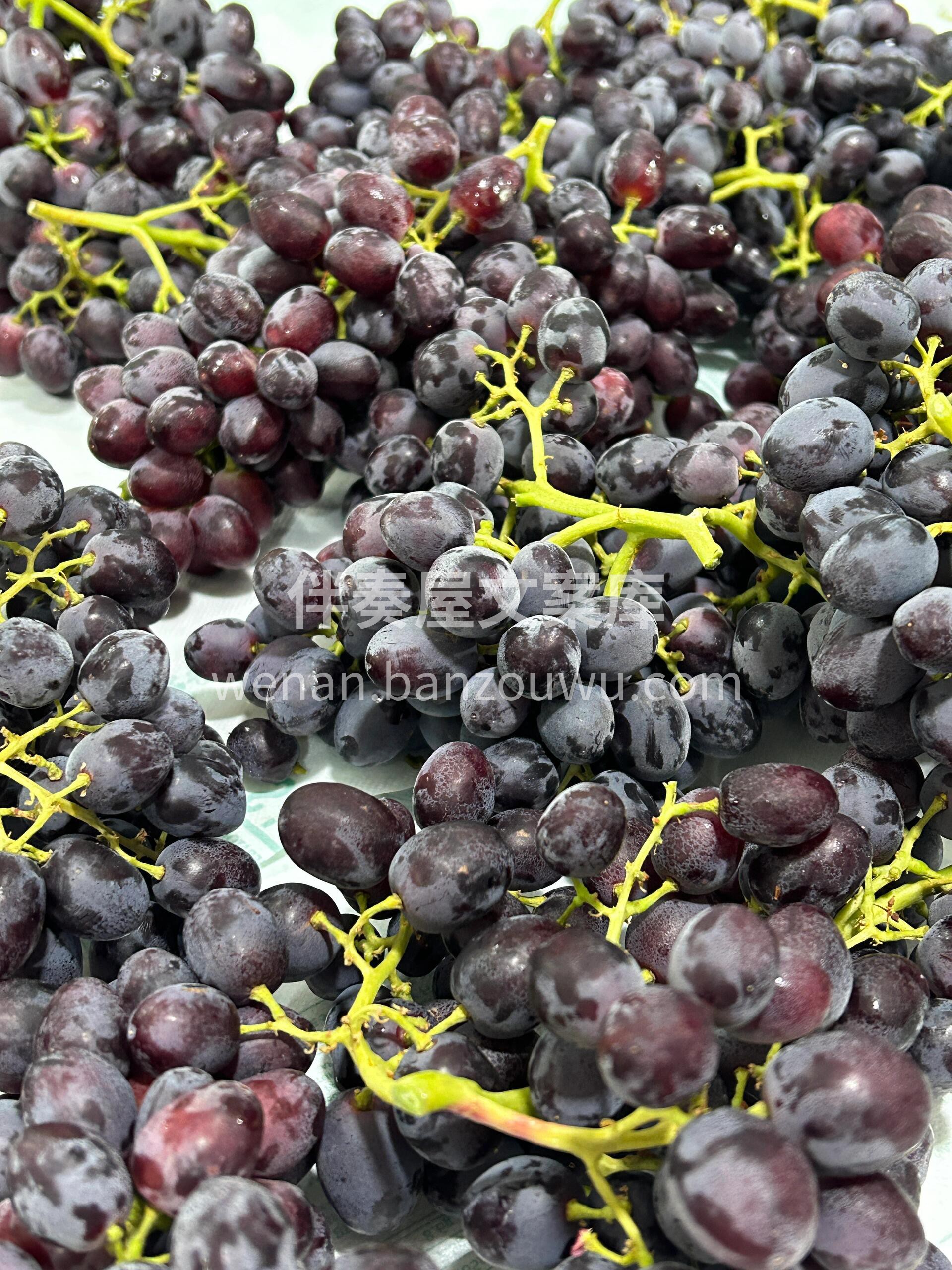 🍇【初恋梦境黑提上线啦‼️】 果肉饱满爆 配图3