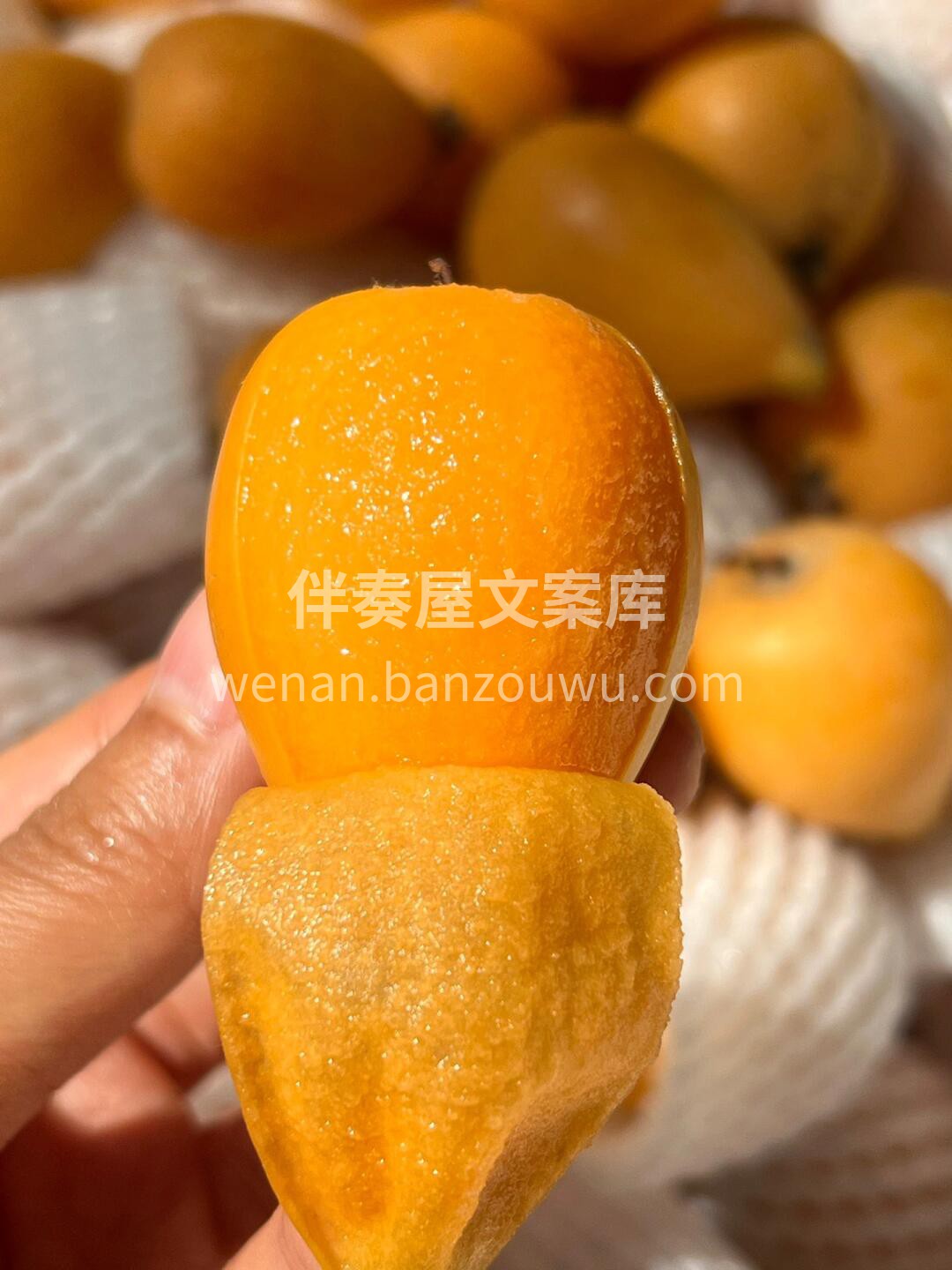 枇杷，是初冬的味道🧡 快去抢占这第一口甜 配图3