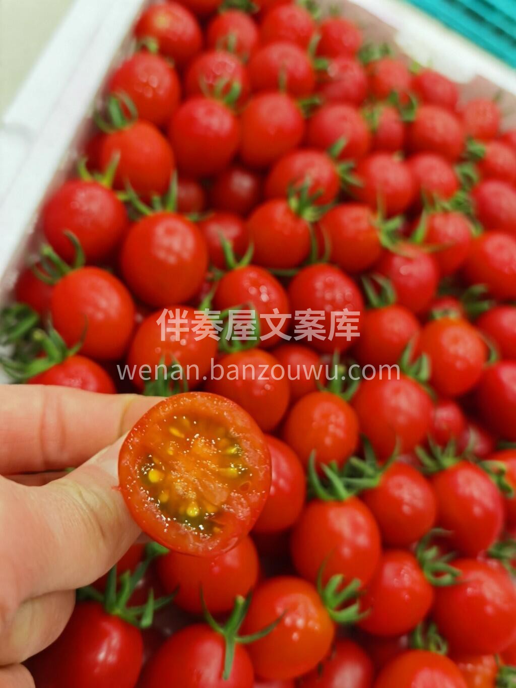 一口爆汁💧！水分在嘴里爆炸开来💣！ 千禧 配图2