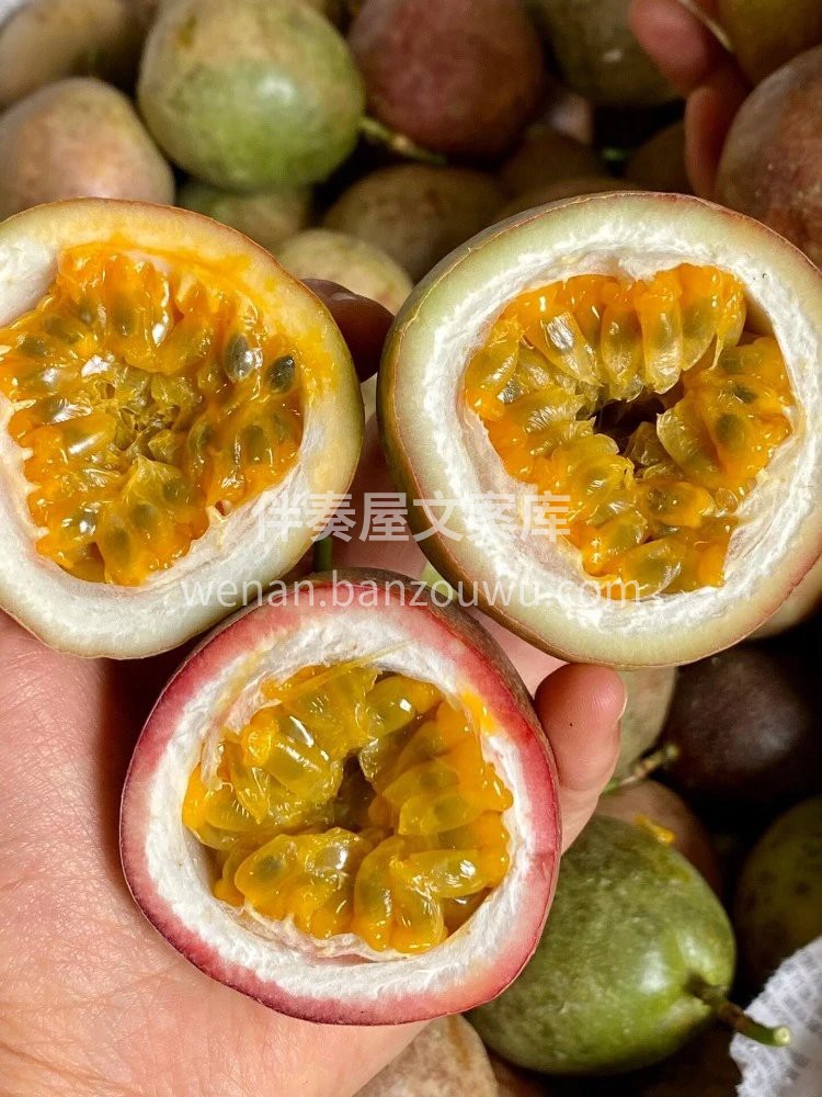 🔴紫香一号百香果👇 口感超级好，💯带有蜂 配图2