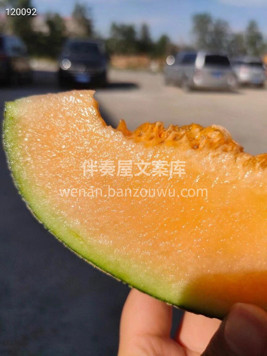 🍈海南西州蜜瓜25号，脆脆甜甜🍭 瓜瓤上 配图1
