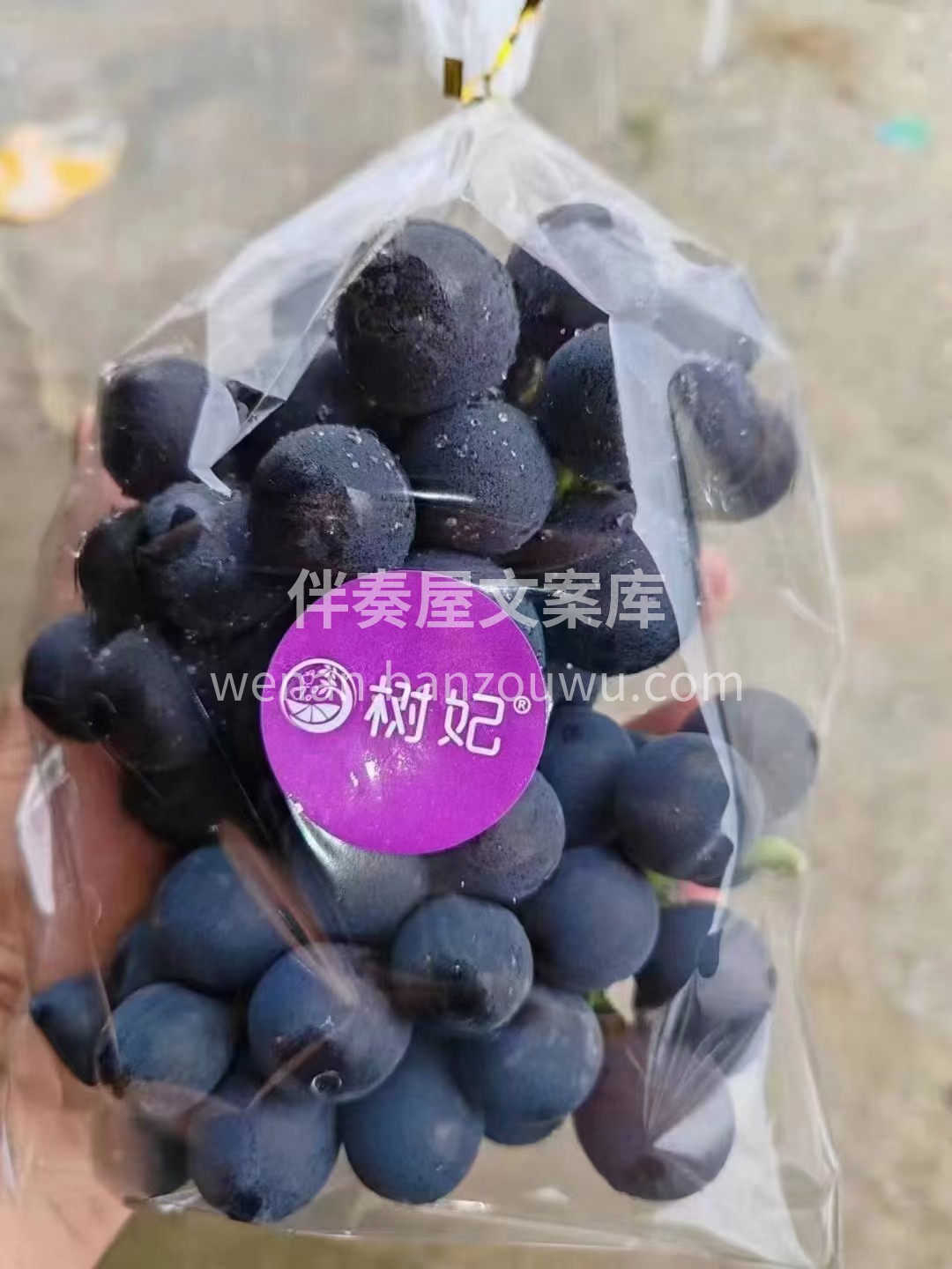 台湾树妃巨峰葡萄🍇 最早上市的王牌款！果 配图2