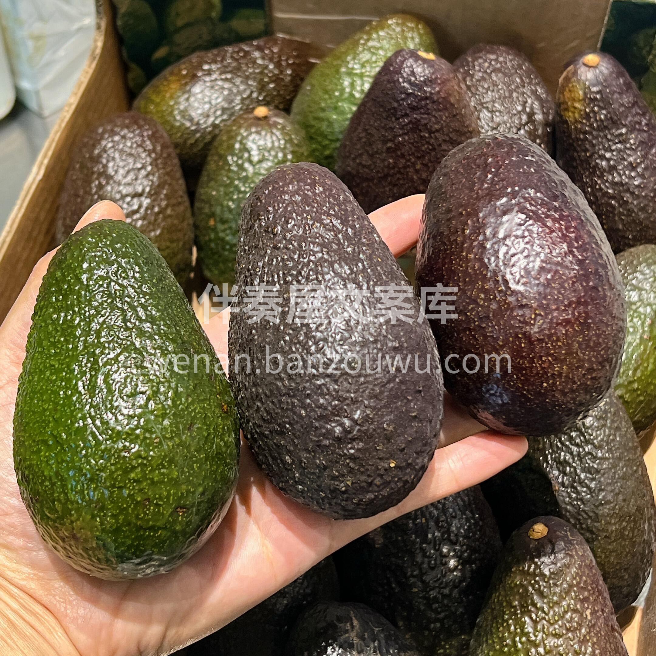 【进口牛油果🥑】 果肉细腻绵密☁️乳酪一 配图2