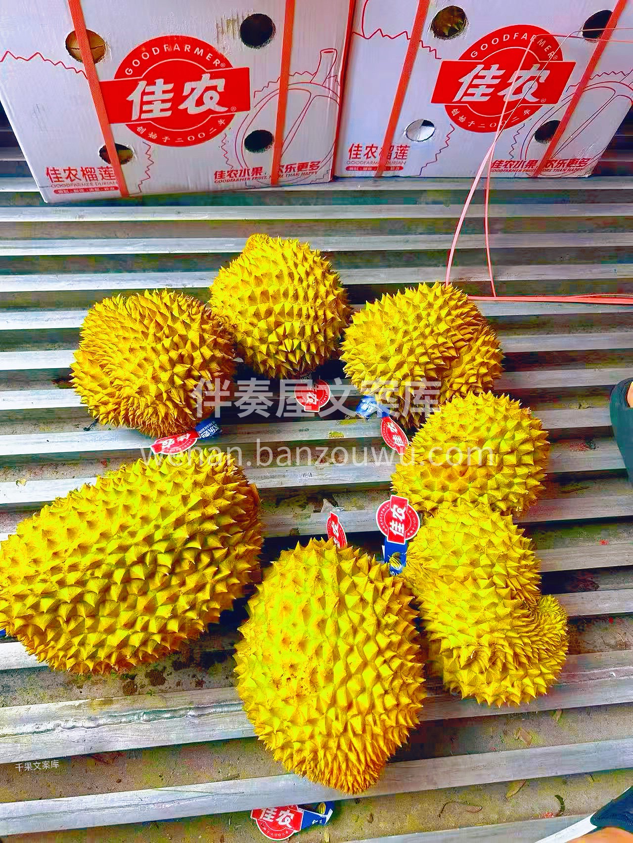 “佳农榴莲王者来袭👑 每一口都是绵密到心 配图2