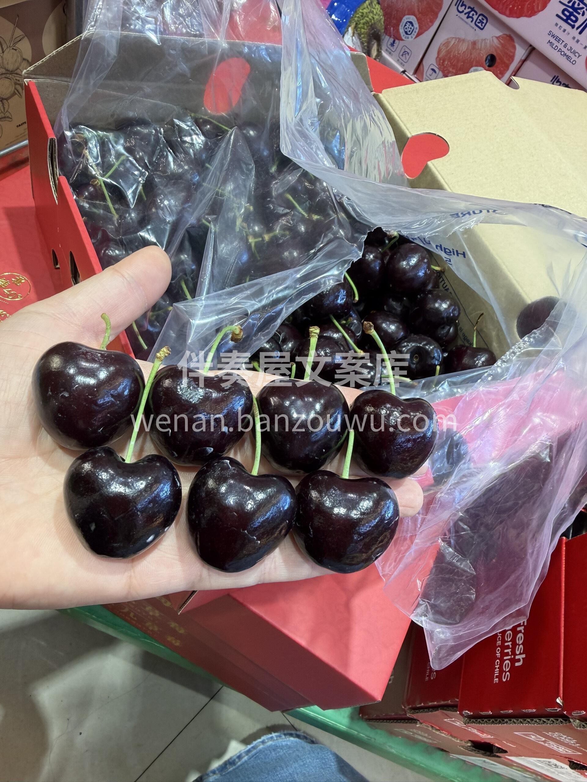 空运桑提娜车厘子除了品质💎，我没什么能给 配图1