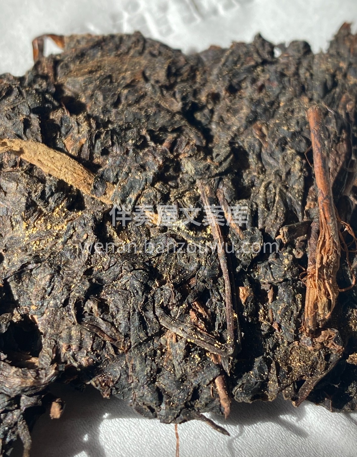 茶案新启「金花茯砖」，砖身密布金黄菌花， 配图1