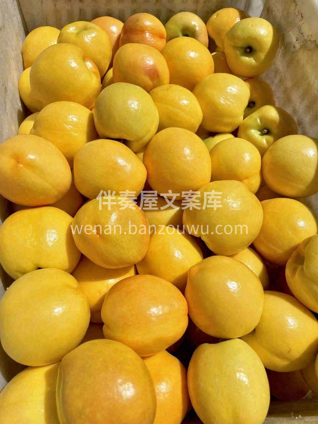 🍑香甜的汁水带着大自然的清香 浓郁的桃香 配图3