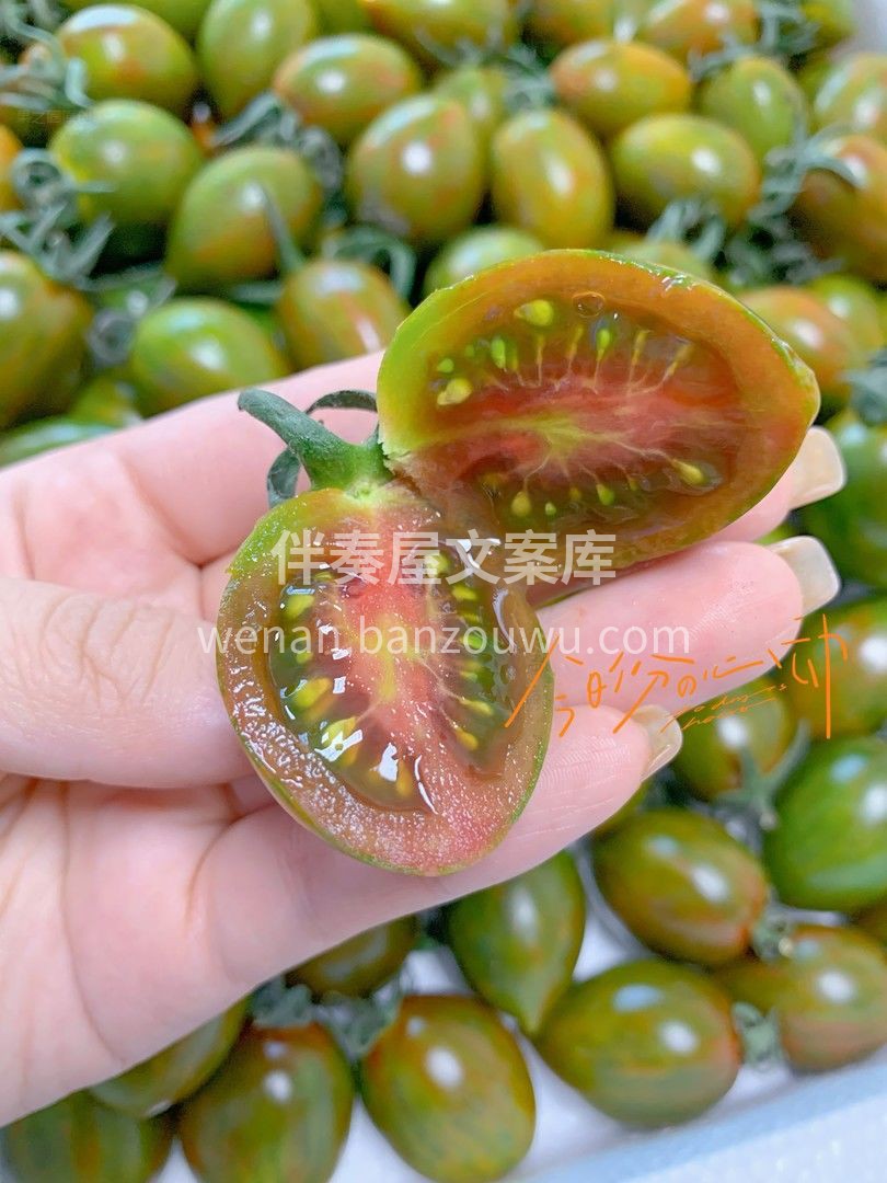 浓缩的都是精华💎 迷彩小番茄🍅，小小的身 配图2