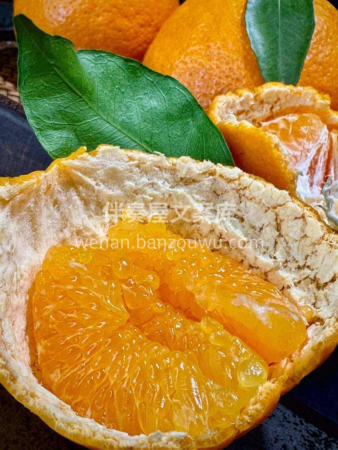 🙋人生不仅有初见，还有春见🍊 满满“柑” 配图1
