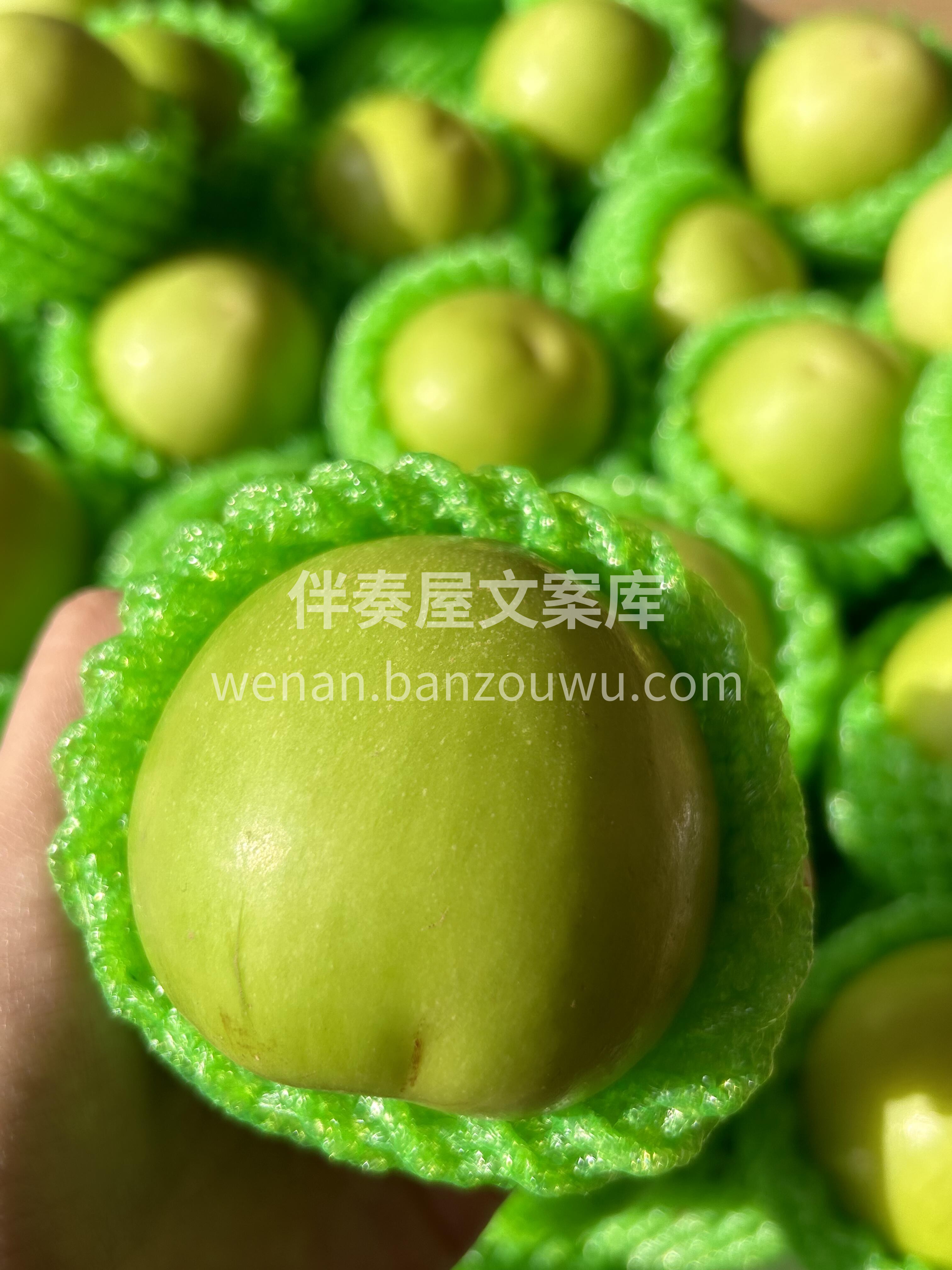 💚苹果枣｜甜得甘爽、清脆💥 轻轻一捏就爆 配图1