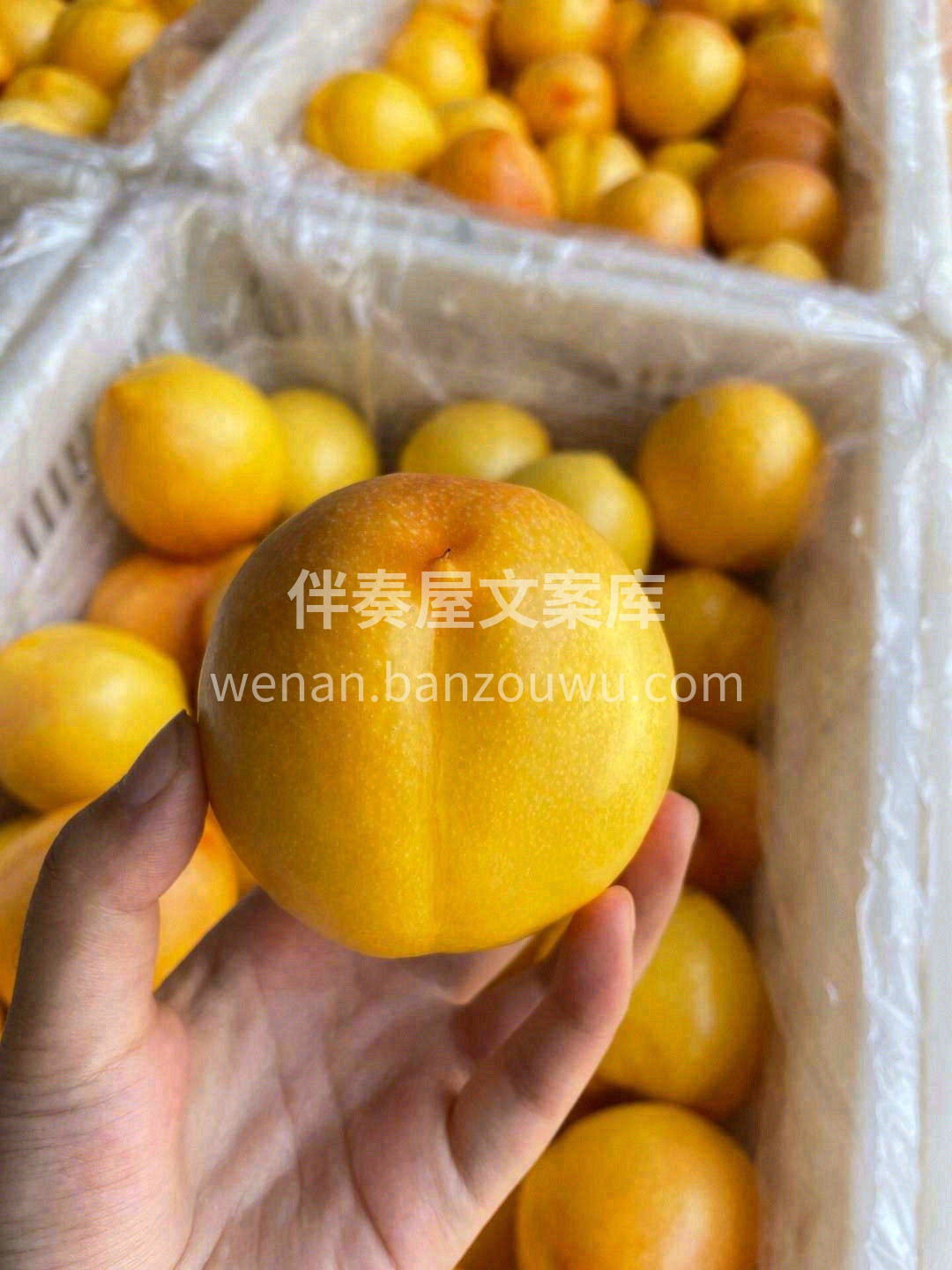 入口的一瞬间，对桃子有了新的定义👍！ 刚 配图1