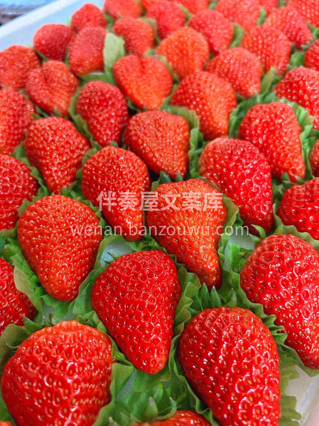 冬天的草莓🍓 莓心莓肺，莓烦恼，等你来品 配图2