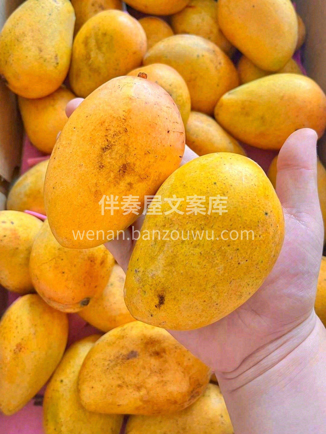 🥭水果届的香水“小炸弹”，芒果味浓郁且有 配图3