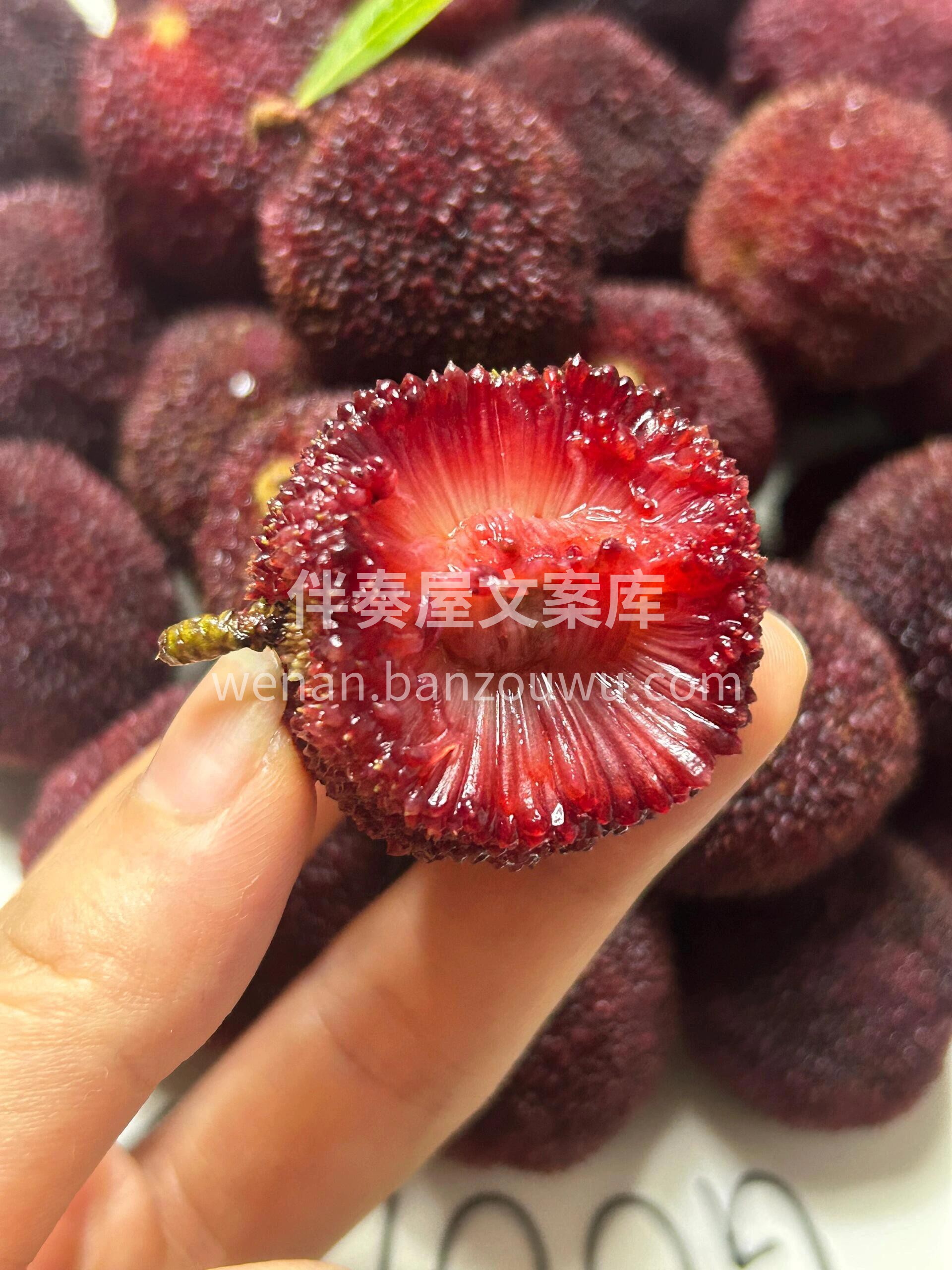 🎉一年一度的杨梅季已到来 杨梅界的佼佼者 配图1