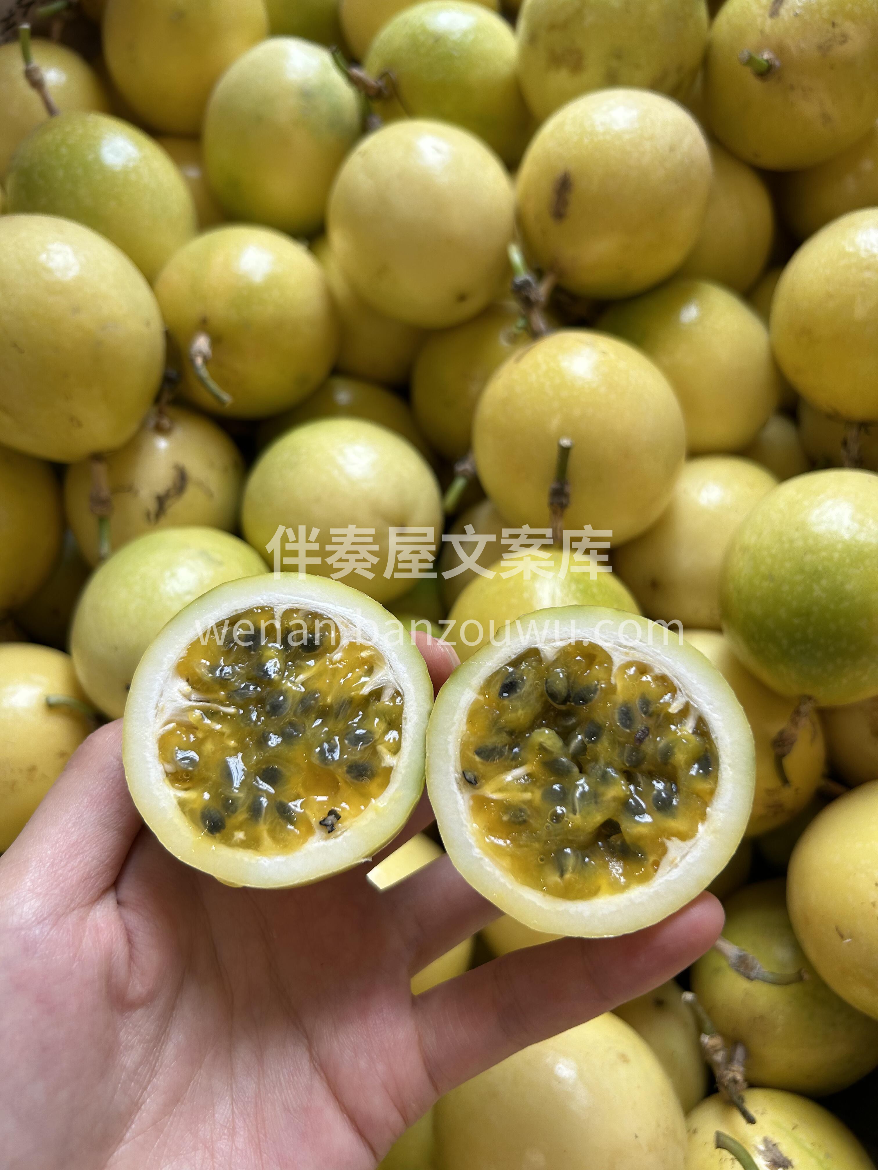 吃了再美一点，白一点 秋天必须要变美的季 配图2