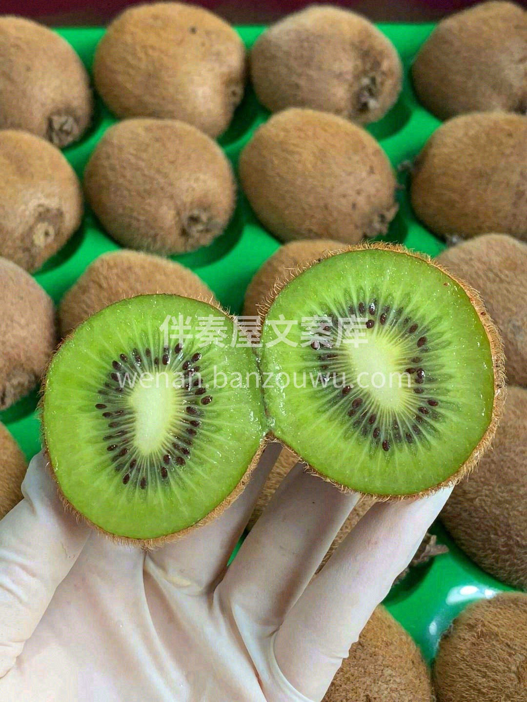 超好吃的“翠香 ”🥝————维生素能量炸 配图2