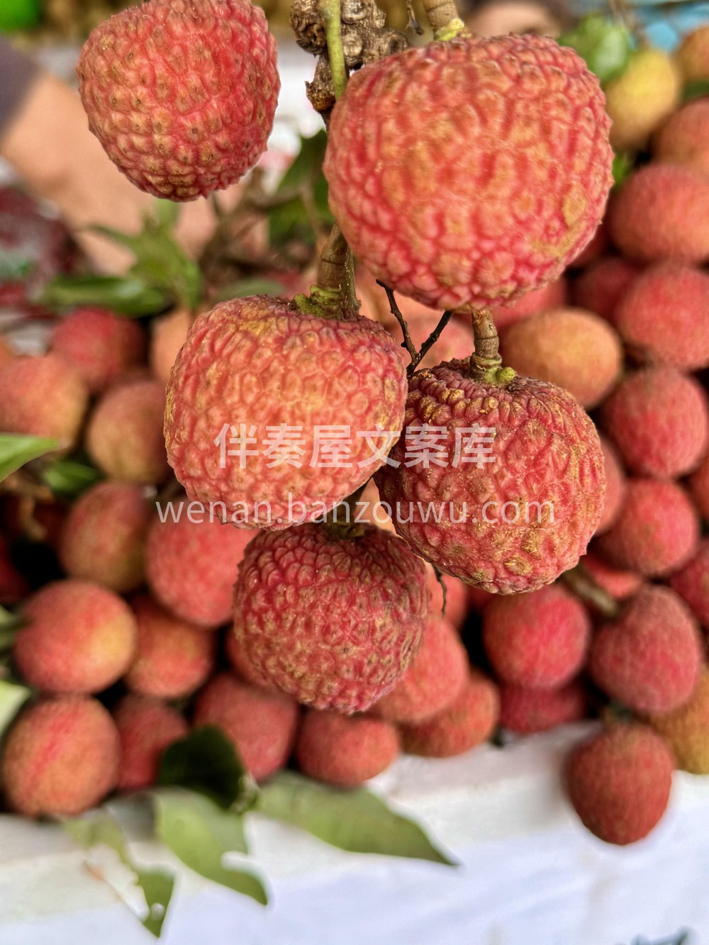 🍒 清新甜美风** **「荔枝红了，夏天 配图1