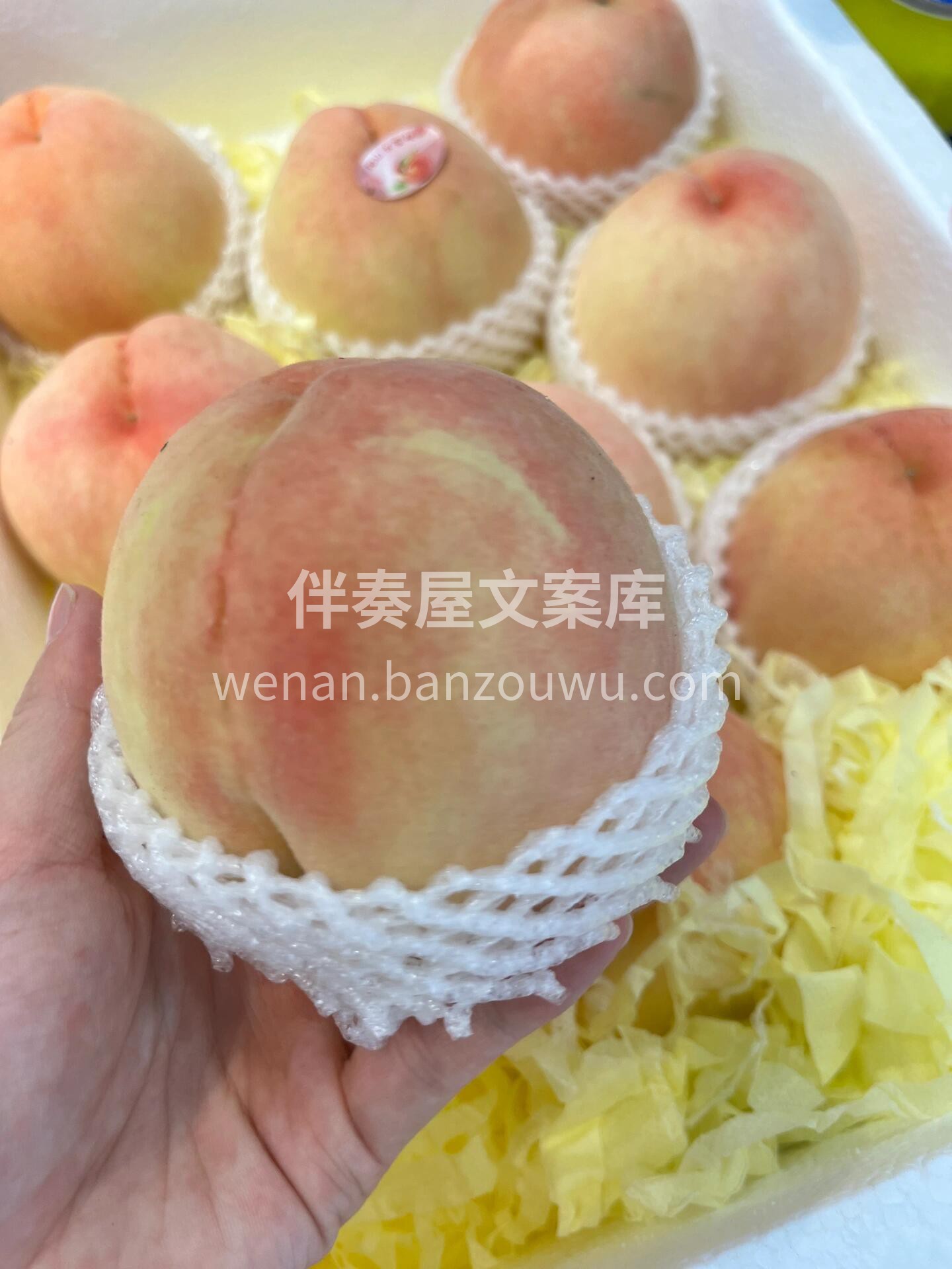 来自夏天的浪漫💕 怎么少得了水蜜桃🍑的香 配图1